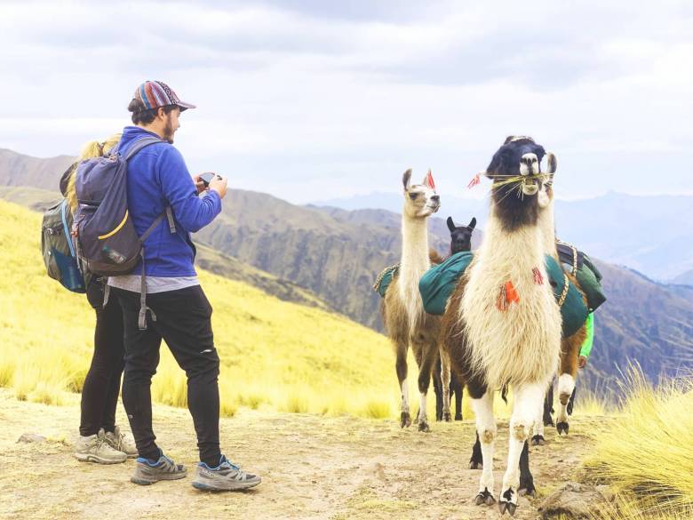 balada avec lamas